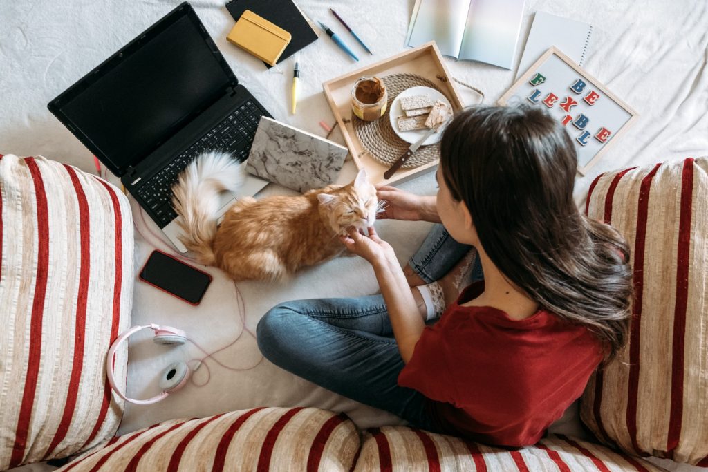 freelancer-young-woman-working-in-home-office-with-laptop-computer-and-cat-remote-online-working-1024x683